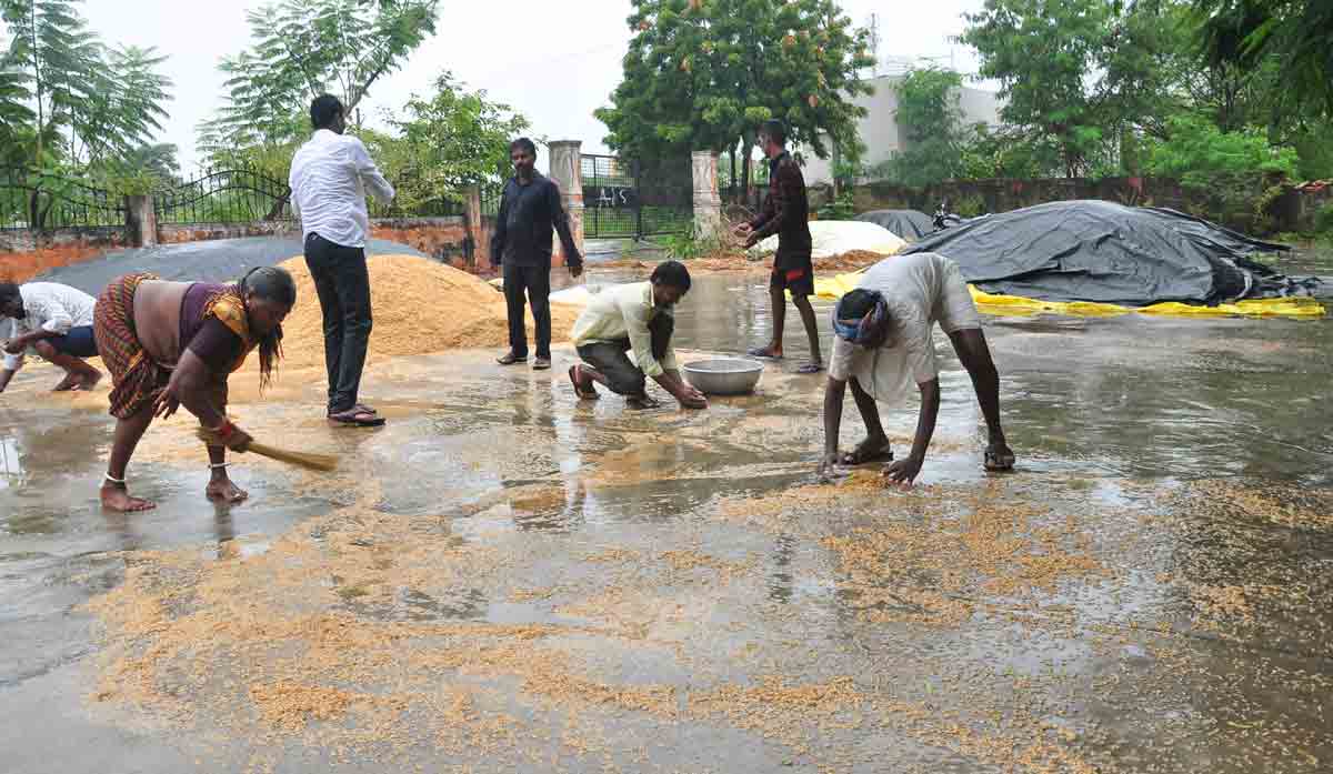 చెడగొట్టు వాన