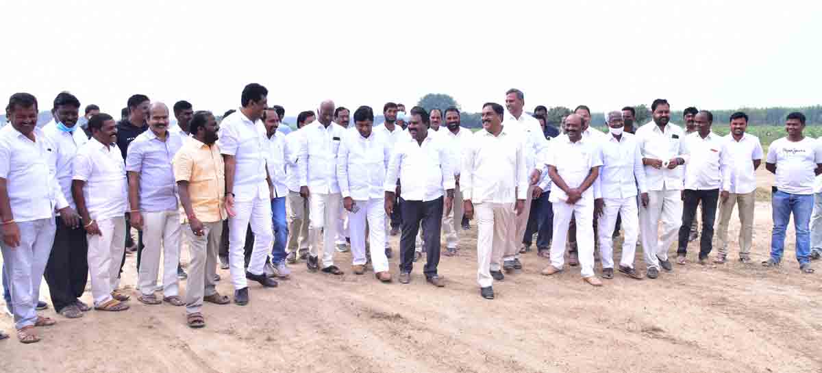 ఓరుగల్లుకు ఎన్నికళ