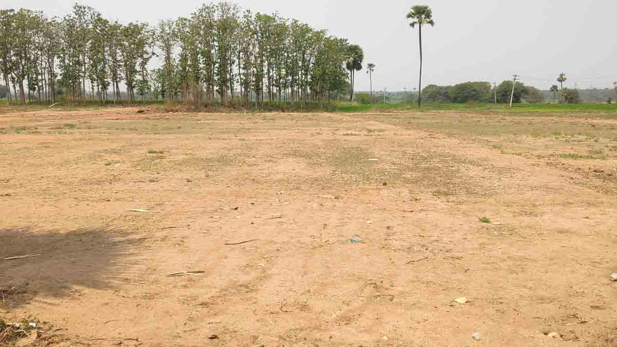 పల్లె జాగలపై పెరిగిన మక్కువ