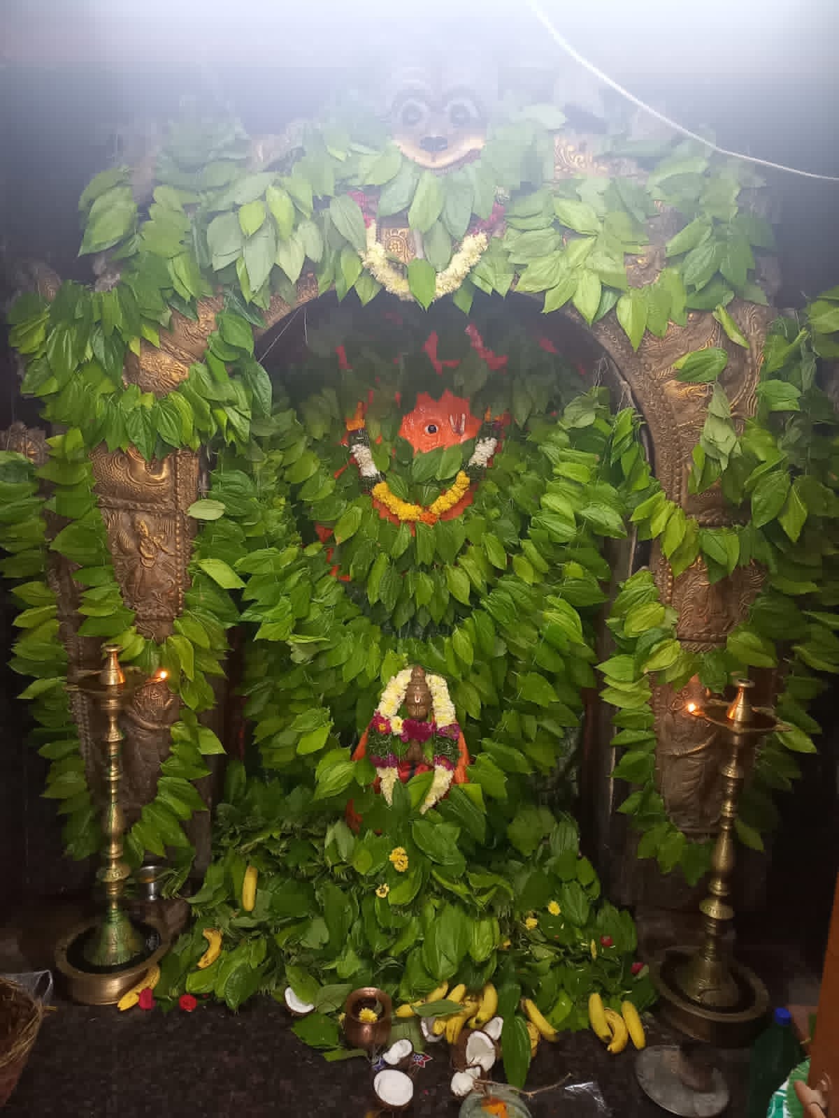 Hanuman | అంజనీపుత్రుడికి ఘనంగా పూజలు