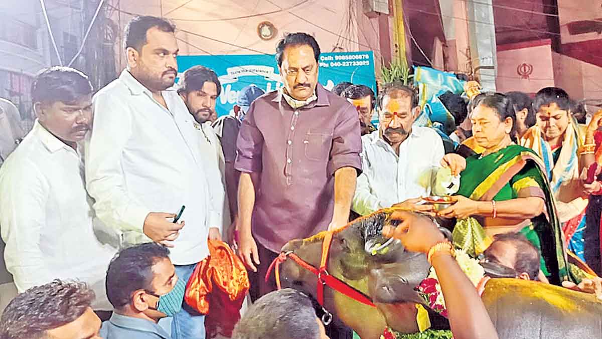 సదర్‌ ఉత్సవాలనుప్రారంభించిన ఎమ్మెల్యే మాగంటి గోపీనాథ్‌