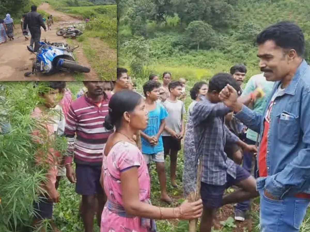 Ganja and Girijans : ఎక్సైజ్‌ సిబ్బందిపై గిరిజనుల దాడి.. గంజాయి పండిస్తే తప్పేంటని ప్రశ్న