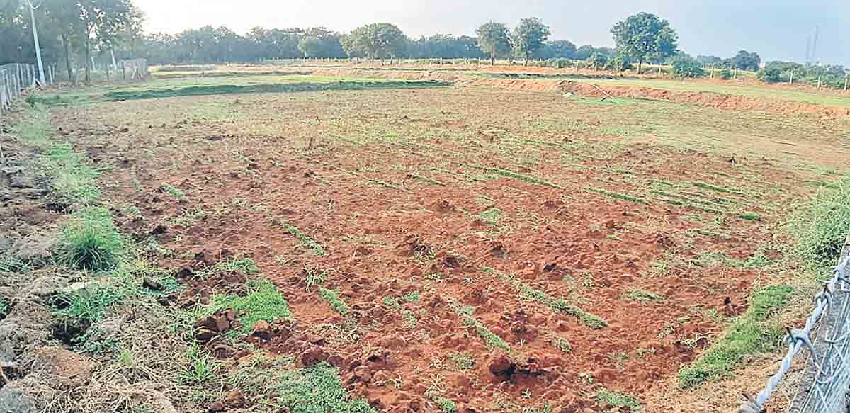 మార్పు మంచికే..!