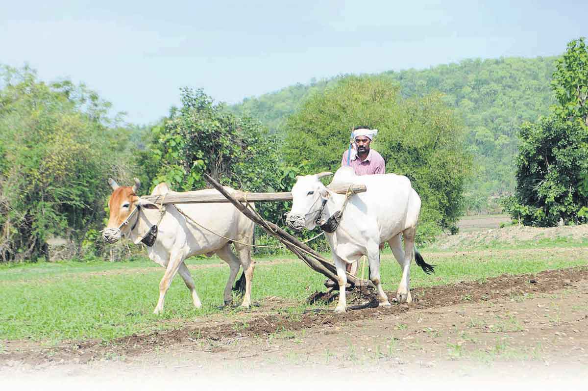 ‘పోడు హక్కు’కు మరో ముందడుగు