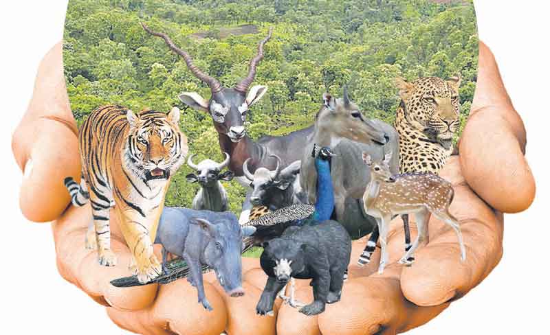 తేలనున్న లెక్క