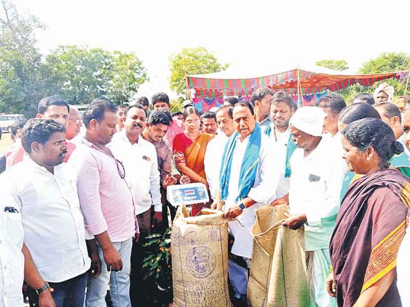 ప్రత్యామ్నాయ పంటలు సాగుచేయాలి