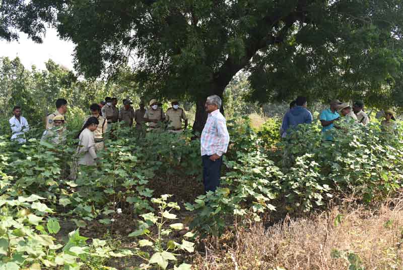 కాగజ్‌నగర్‌లో పట్టుబడిన పులి చర్మం