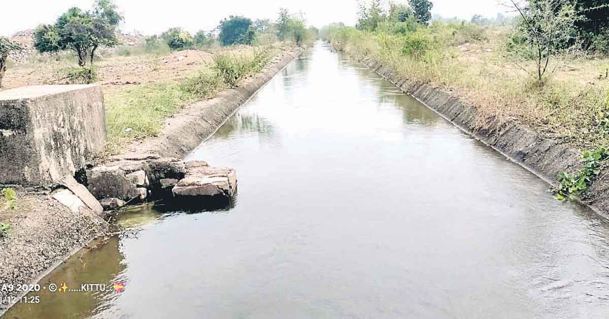 యాసంగికి భరోసా