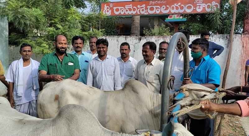 పశువైద్య శిబిరాలను వినియోగించుకోవాలి