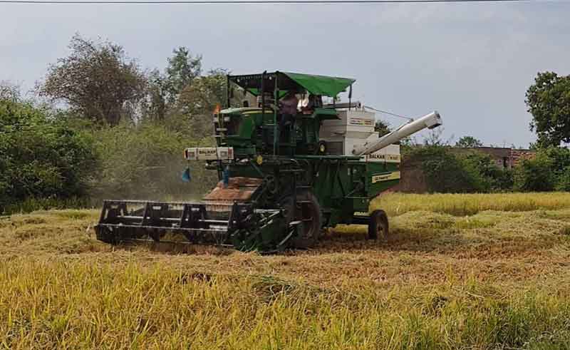 వరి కోతలు ముమ్మరం