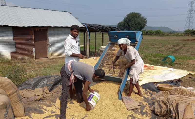 సోయా సిరులు