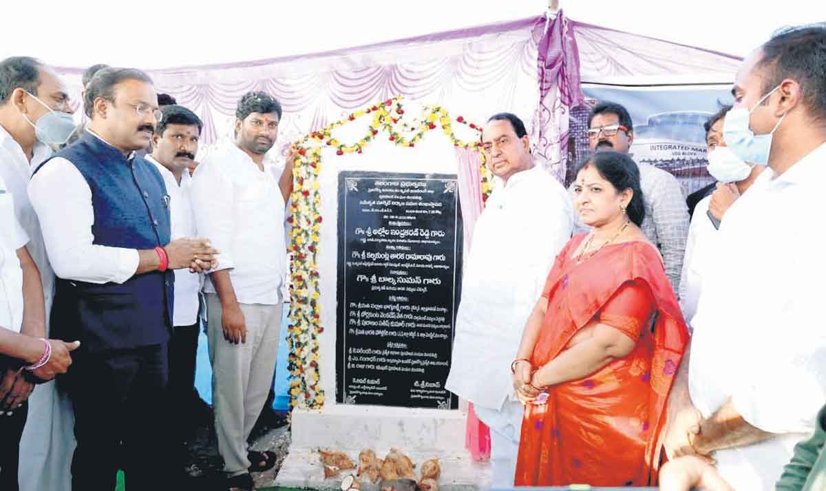 ప్రత్యామ్నాయ పంటలపై దృష్టి పెట్టండి