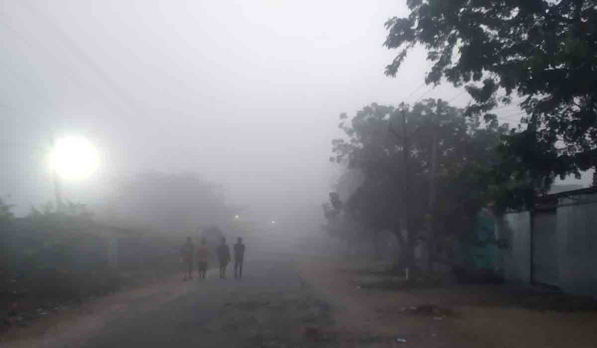 ఆదిలాబాద్‌ను కమ్మేసిన మంచు దుప్పటి