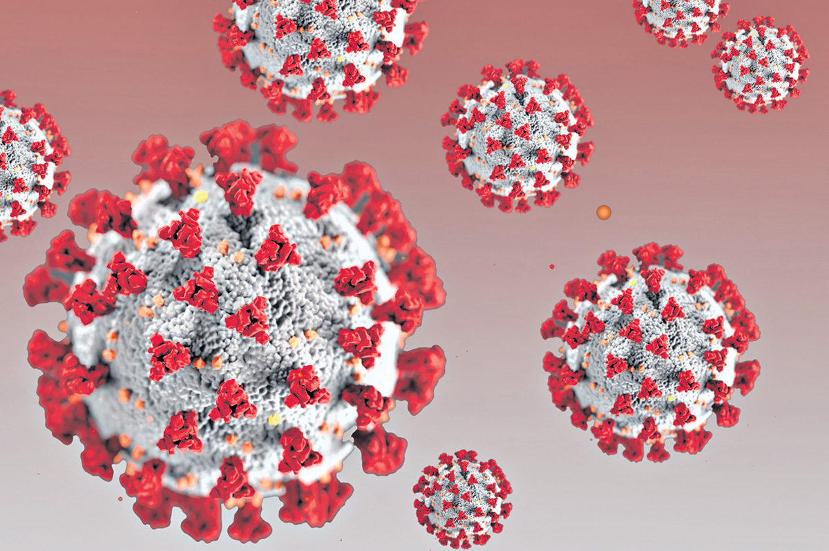 ఆఫ్రికా వేరియంట్‌.. ఇటు రాకుండా..!