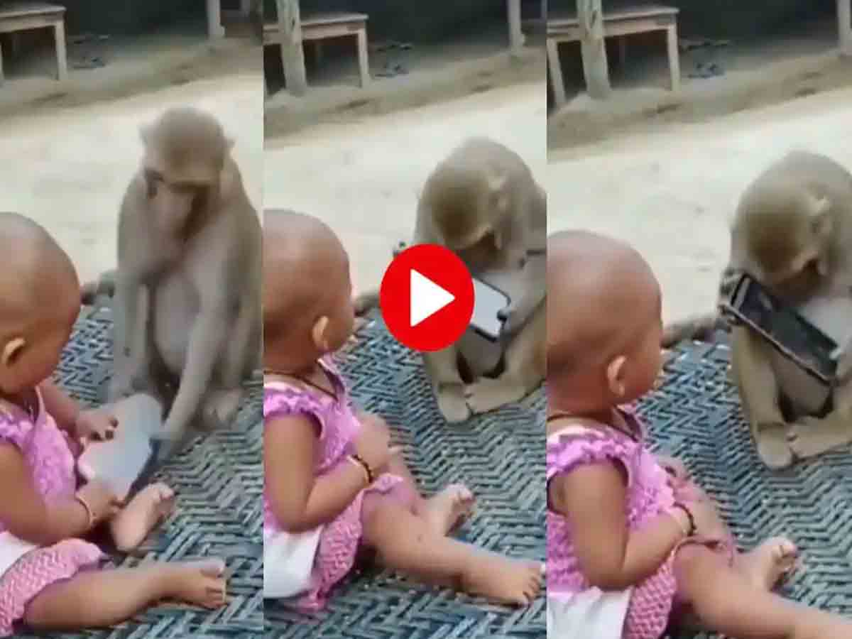 Viral Video: మొబైల్ ఫోన్ కోసం.. పాప, కోతి మధ్య ఫైట్‌