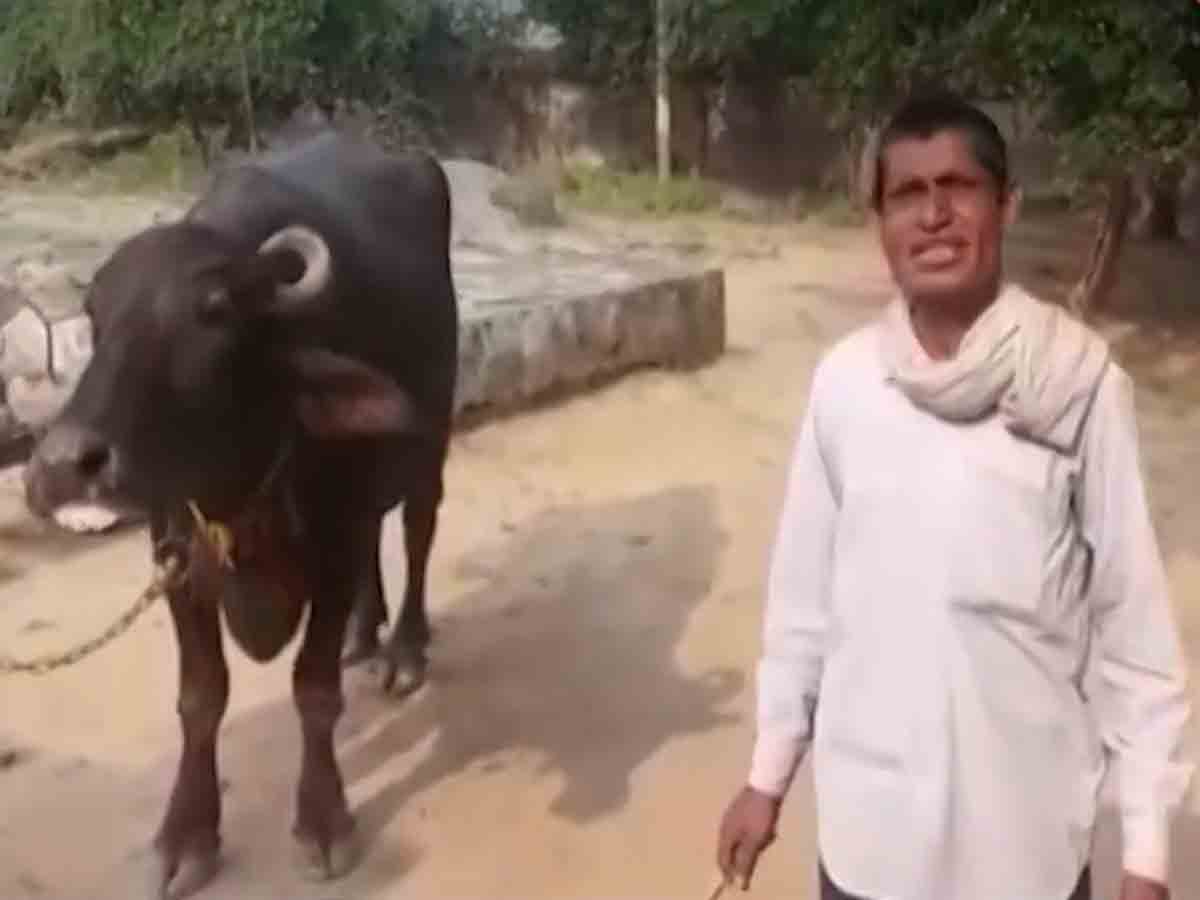 గేదె పాలు ఇవ్వడం లేదంటూ.. పోలీసులకు ఫిర్యాదు