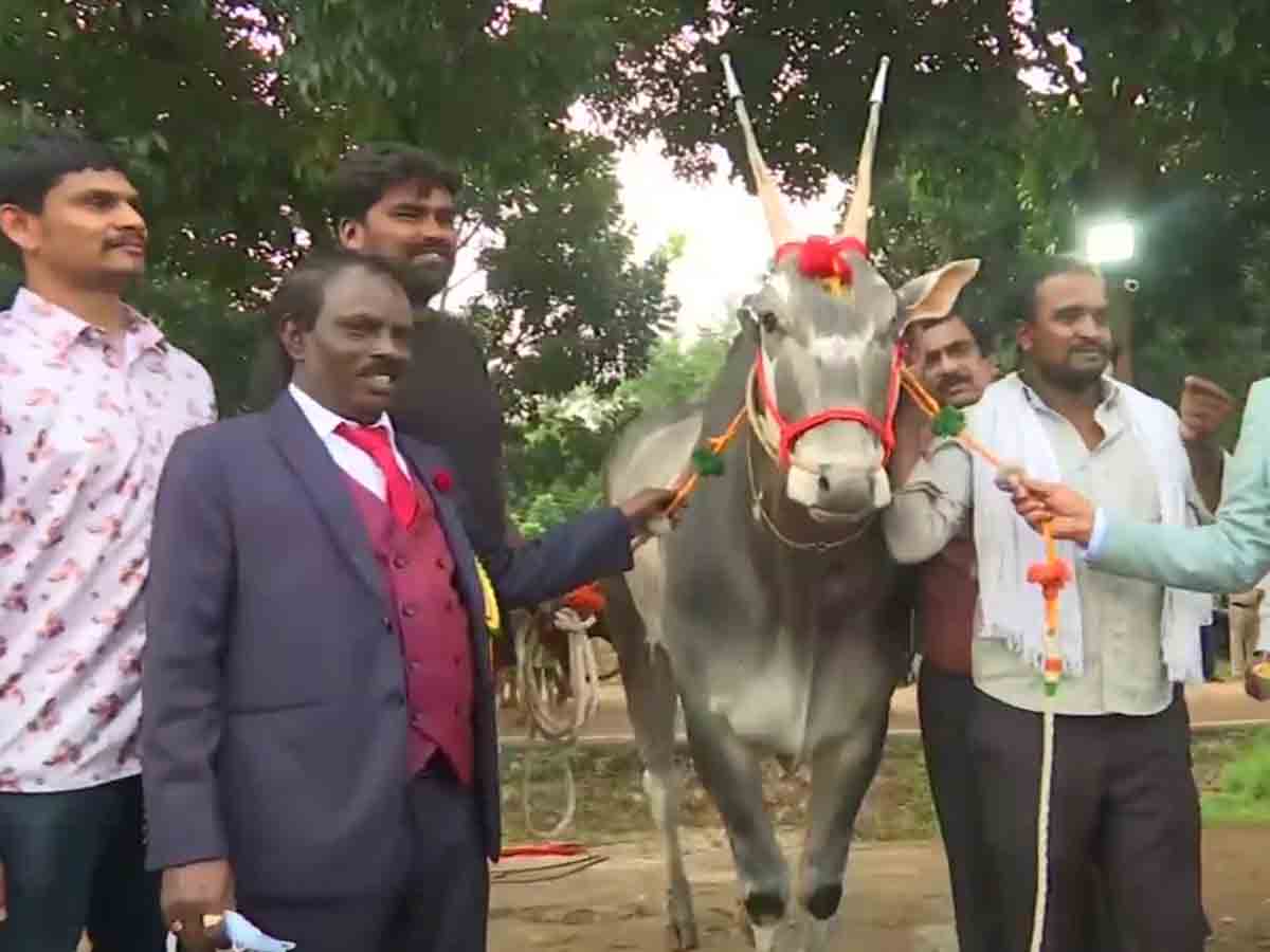 కృషి మేళాలో ఆకర్షణగా నిలిచిన కోటి విలువైన ఎద్దు