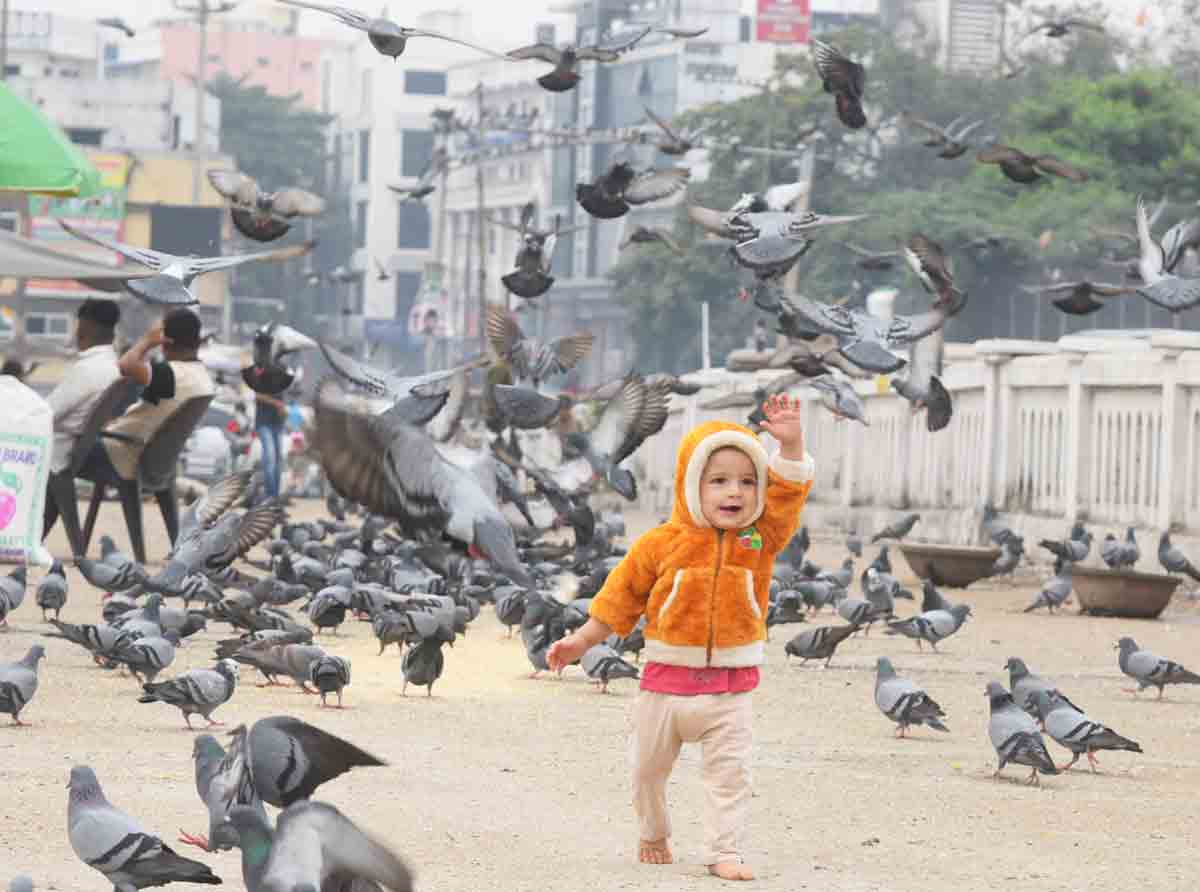 ఇగం.. జనం ఆగమాగం!