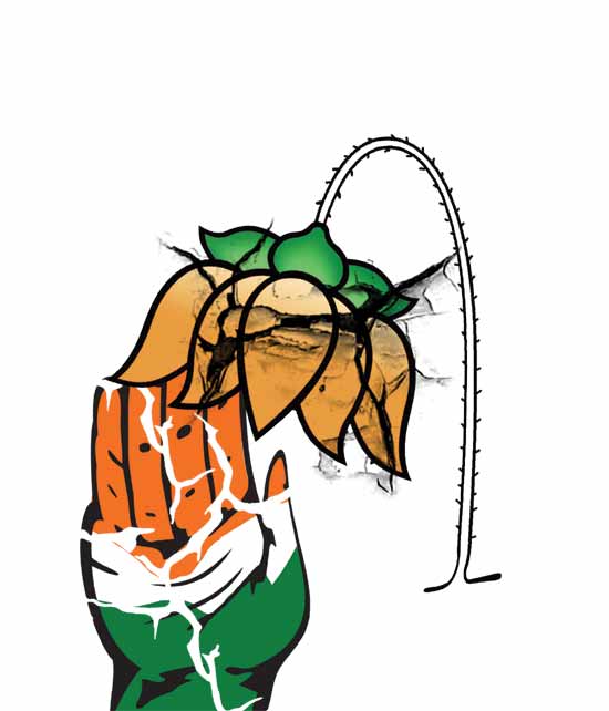 ఒంటె పెదవులకు నక్కాశ!