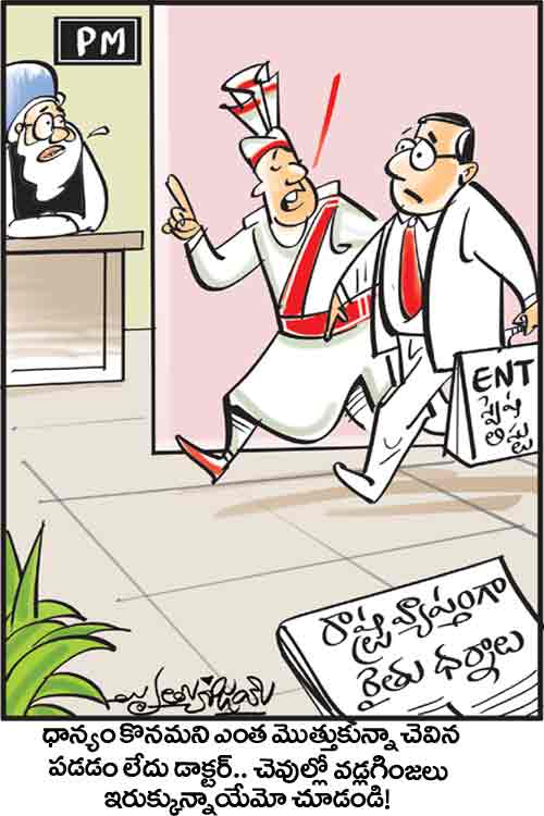 డైలీ కార్టూన్‌ 13-11-2021