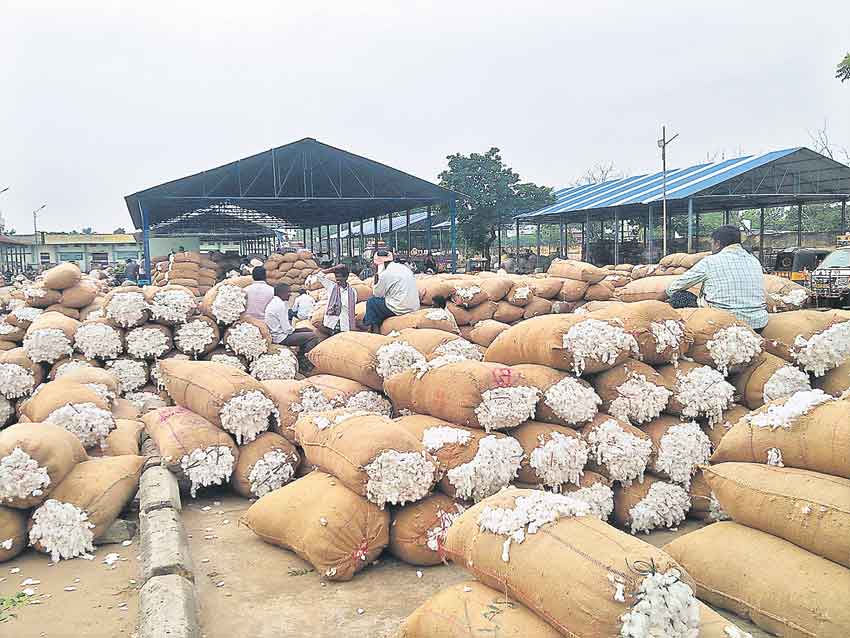 పత్తి ధరహాసం