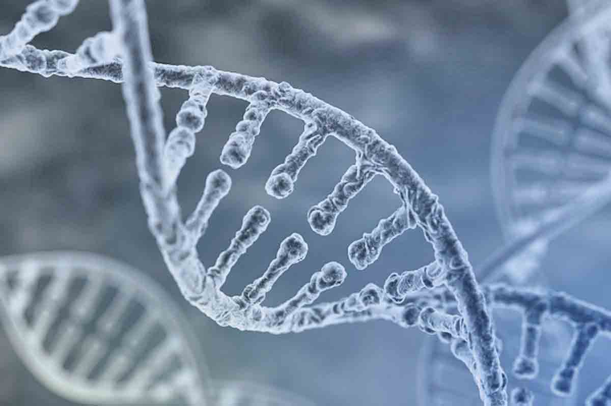 మనుషులకూ ఇతర జీవులకూ మధ్య ఉన్న తేడా తెలిసిపోయింది..