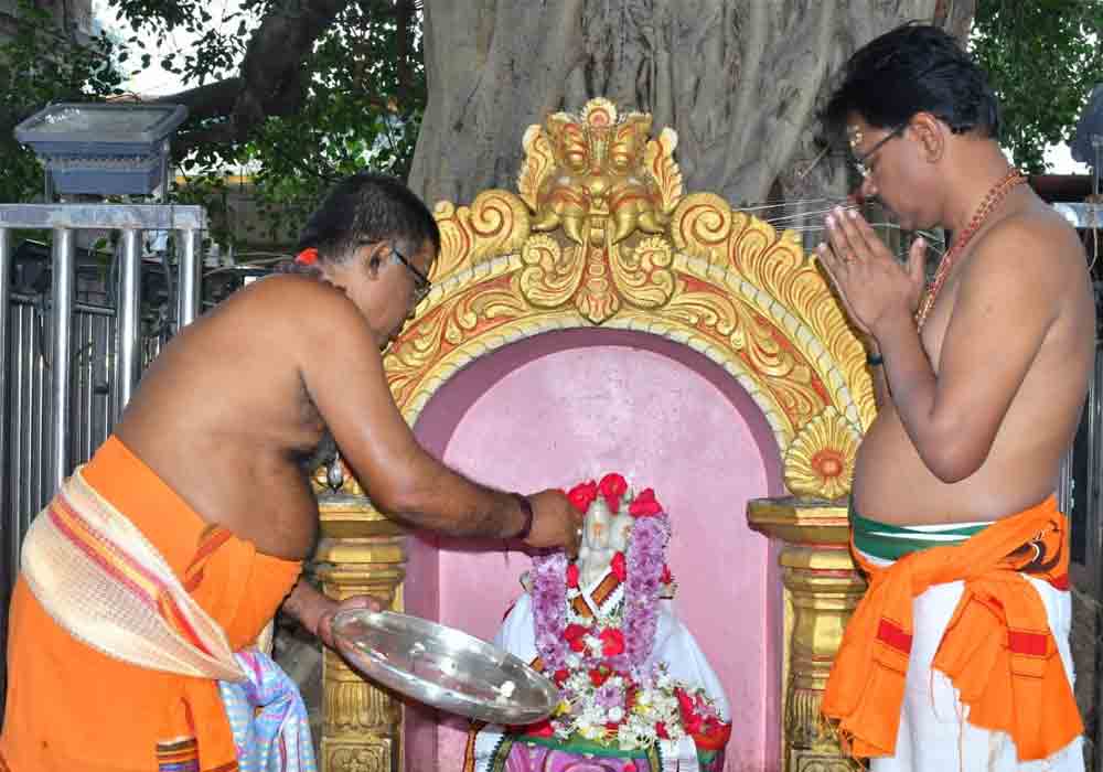 దత్తాత్రేయుడికి ప్రత్యేక పూజలు