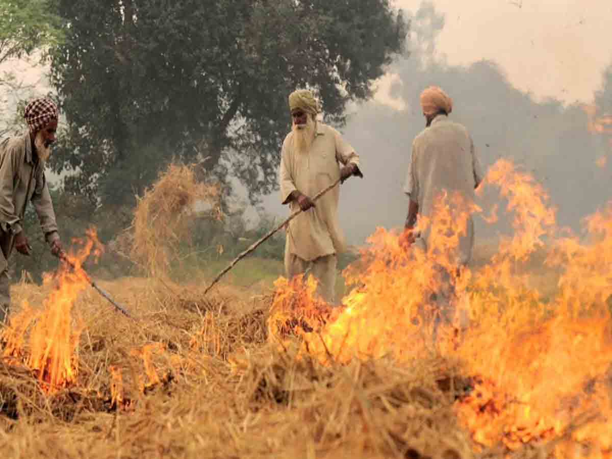పంజాబ్‌లో ఒకే రోజు 3,032 చోట్ల పంట వ్యర్థాల దగ్ధం
