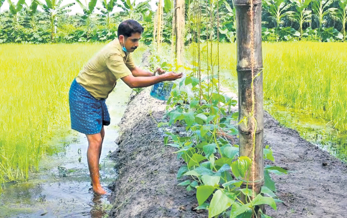 ఆరోగ్యానికి.. ఆగ్రోజిమ్‌!