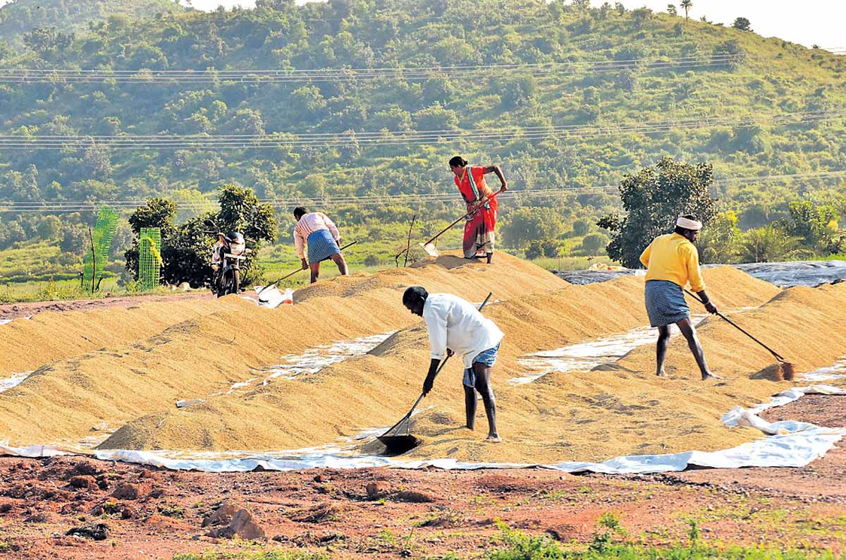 ఉత్పత్తి కోసం ఉద్యమిద్దాం