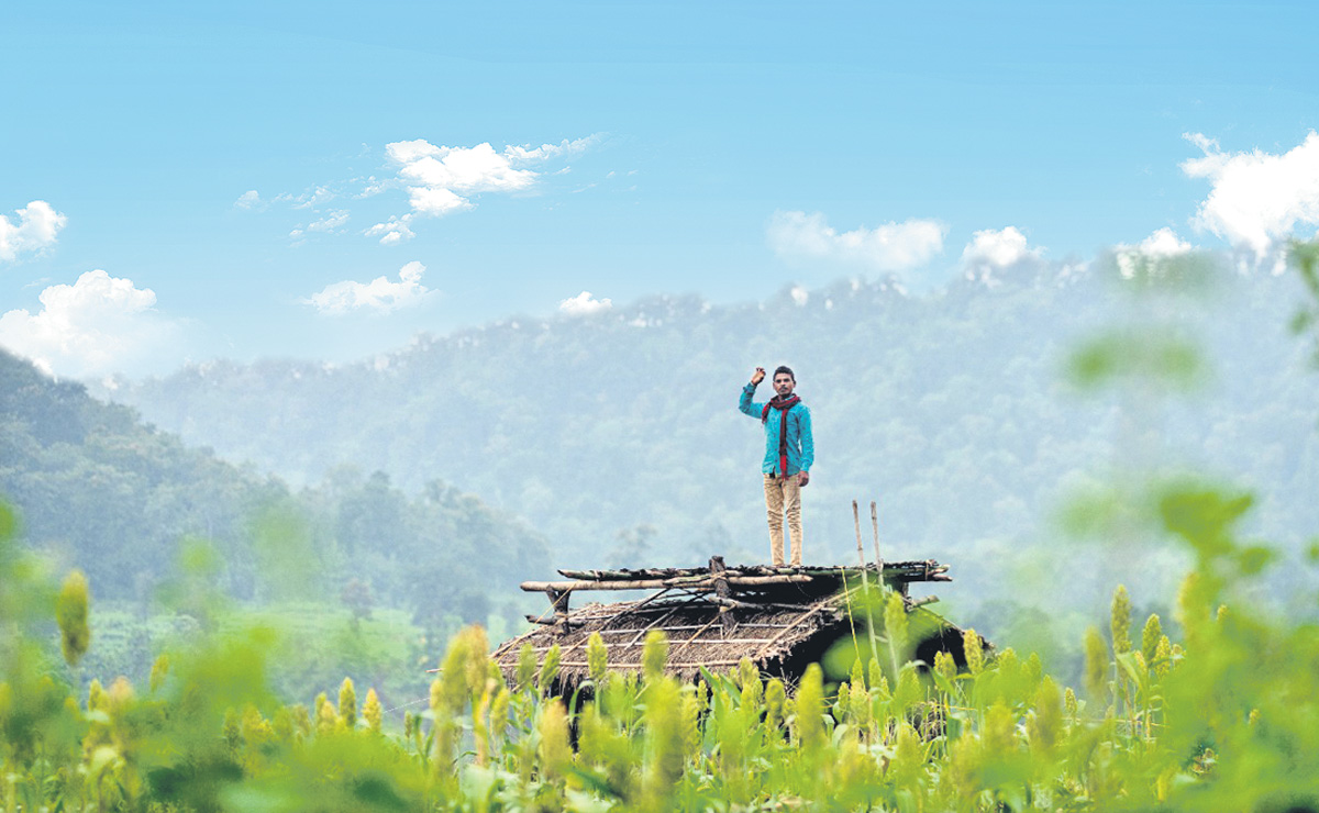 అడవుల్లో ఆటవిడుపు