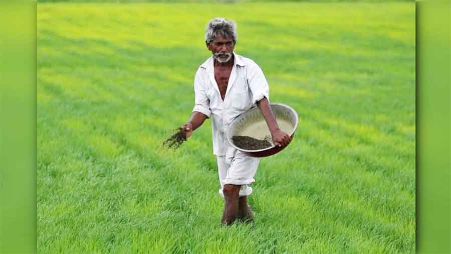 రైతు రాజ్యం!