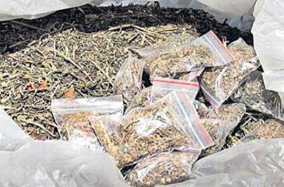 కోణార్క్ ఎక్స్‌ప్రెస్‌లో 120 కిలోల గంజాయి స్వాధీనం