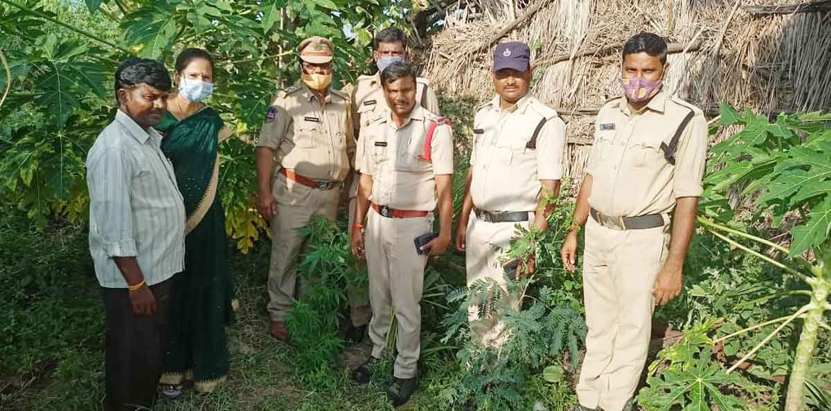 కదులుతున్న డొంక