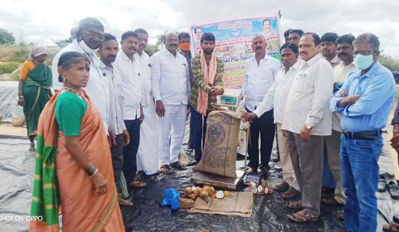 ప్రతి గింజనూ ప్రభుత్వమే కొంటుంది