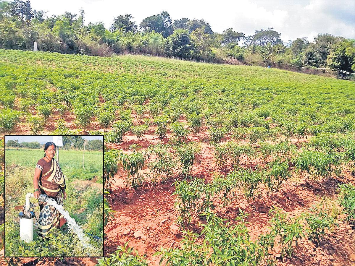 బతుకు మార్చిన గిరివికాసం