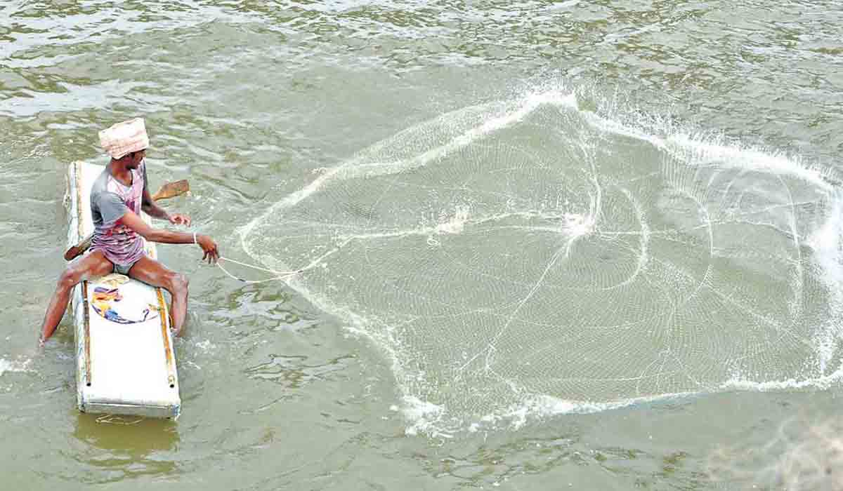 Telangana | ఇన్‌ల్యాండ్‌ ఫిషరీస్ రంగంలోనూ దేశంలో తెలంగాణే నంబర్‌ వన్