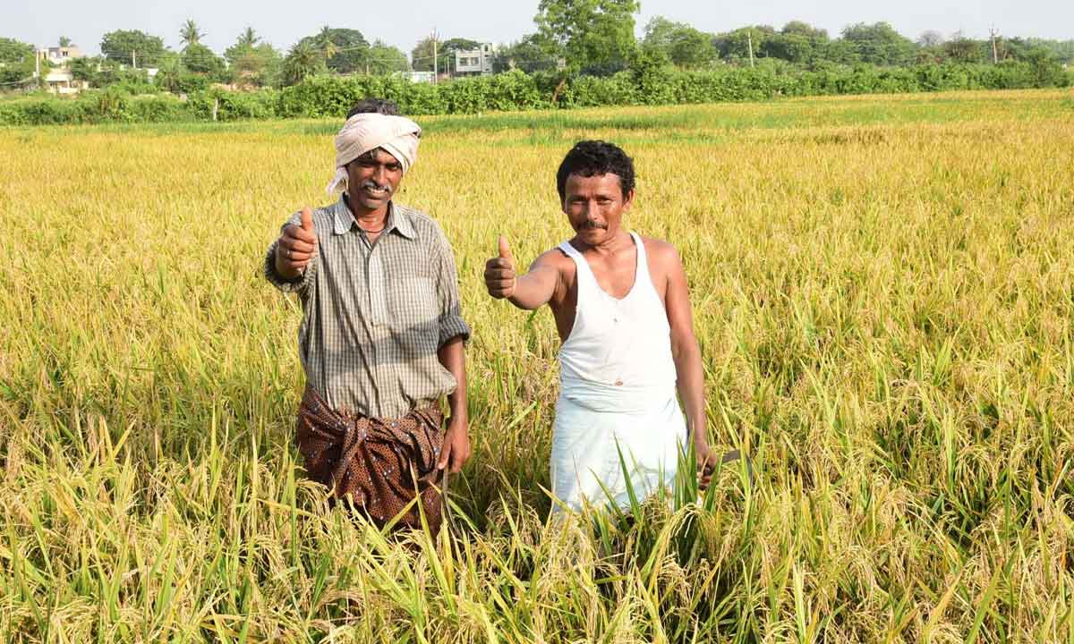 జయహో రైతన్న