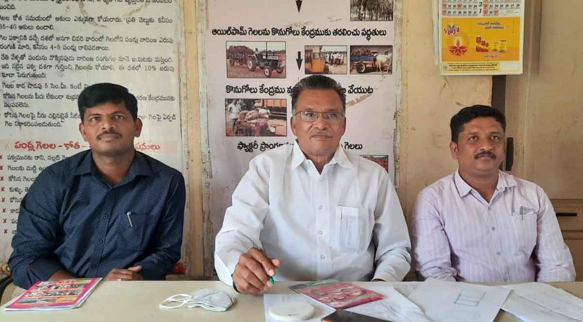 20 లక్షల ఎకరాల్లో ఆయిల్‌ పాం విస్తరణకు అనుమతి