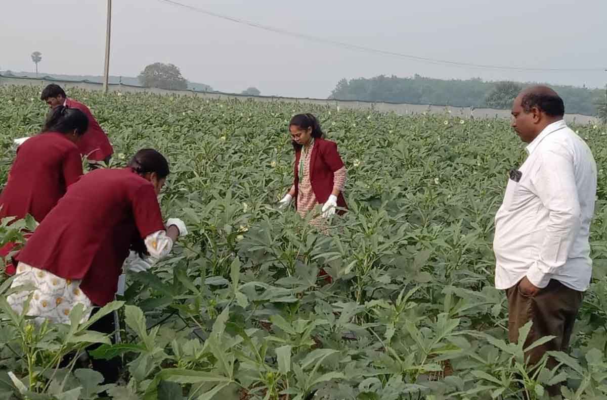 విత్తన క్షేత్రం విజ్ఙాన కేంద్రం