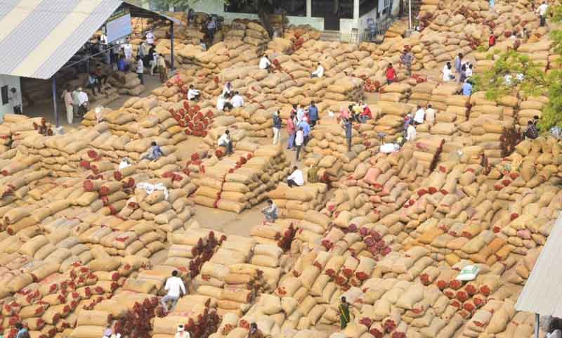 తక్షణ చర్యలే తరుణోపాయం