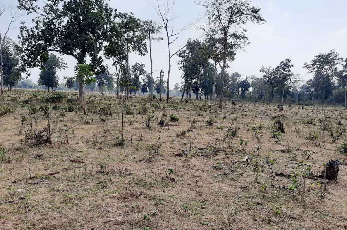 పోడు సమస్య పరాష్కానం దిశగా