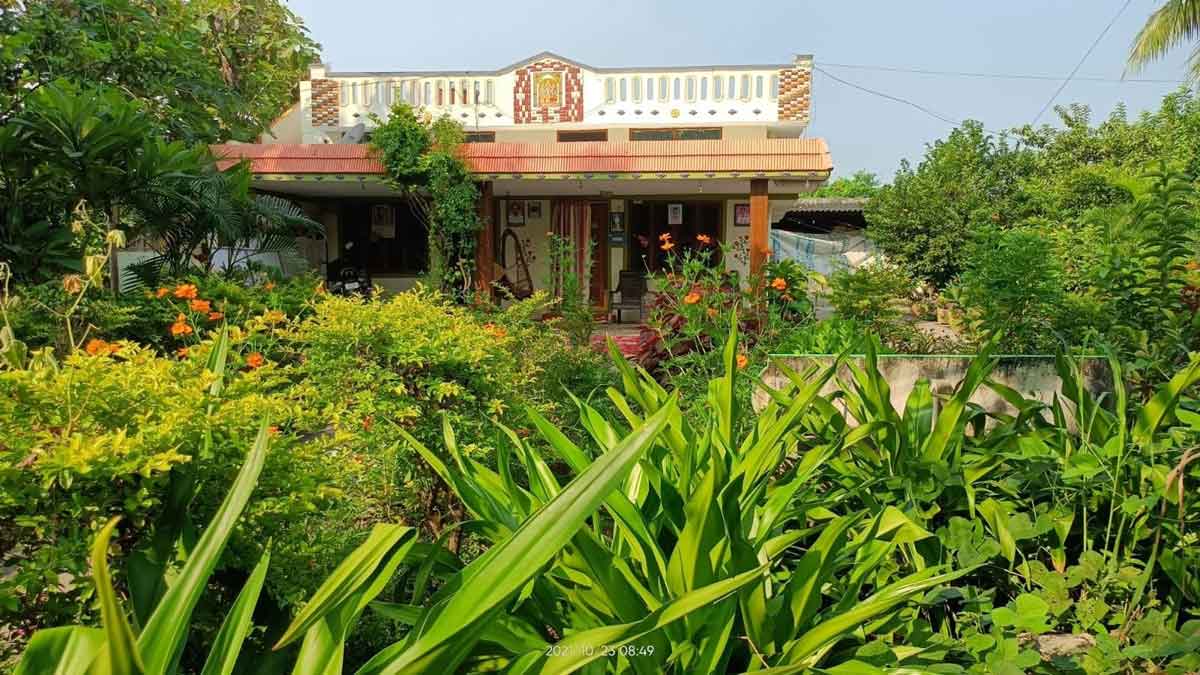 ఇల్లే ప్రకృతివనం