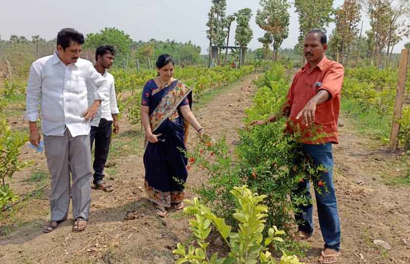 సేంద్రియం.. ఆరోగ్యం..