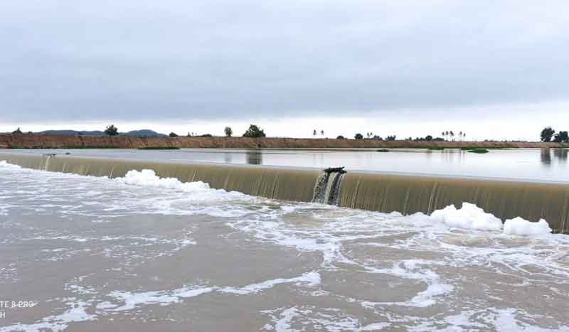 చెక్‌డ్యాములో చేపలవేట