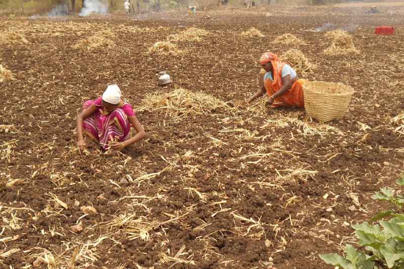 తీరనున్న పోడు.. గోడు