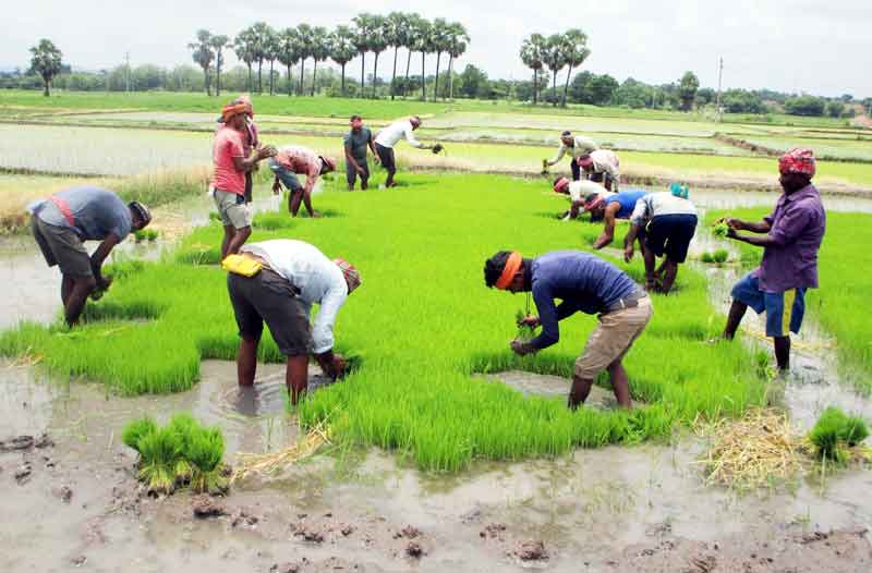 వలస కూలీకి బతుకు