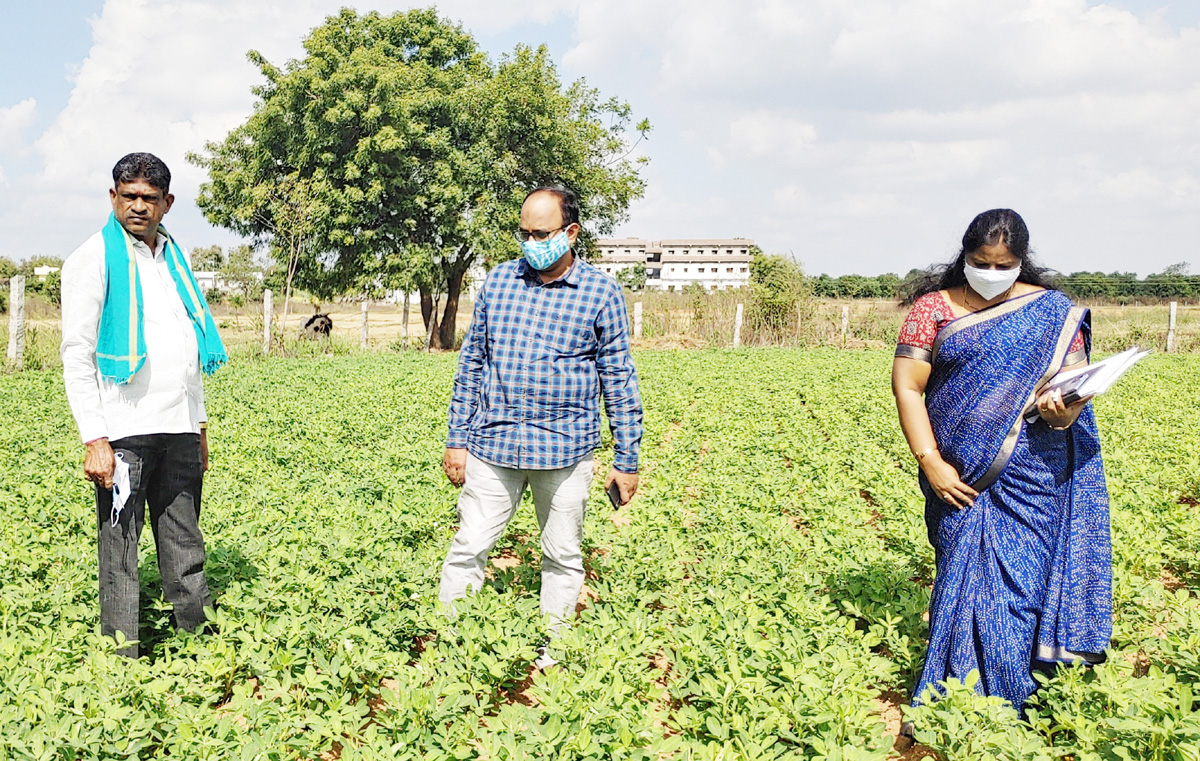 ప్రత్యామ్నాయ పంటలపై దృష్టి పెట్టాలి
