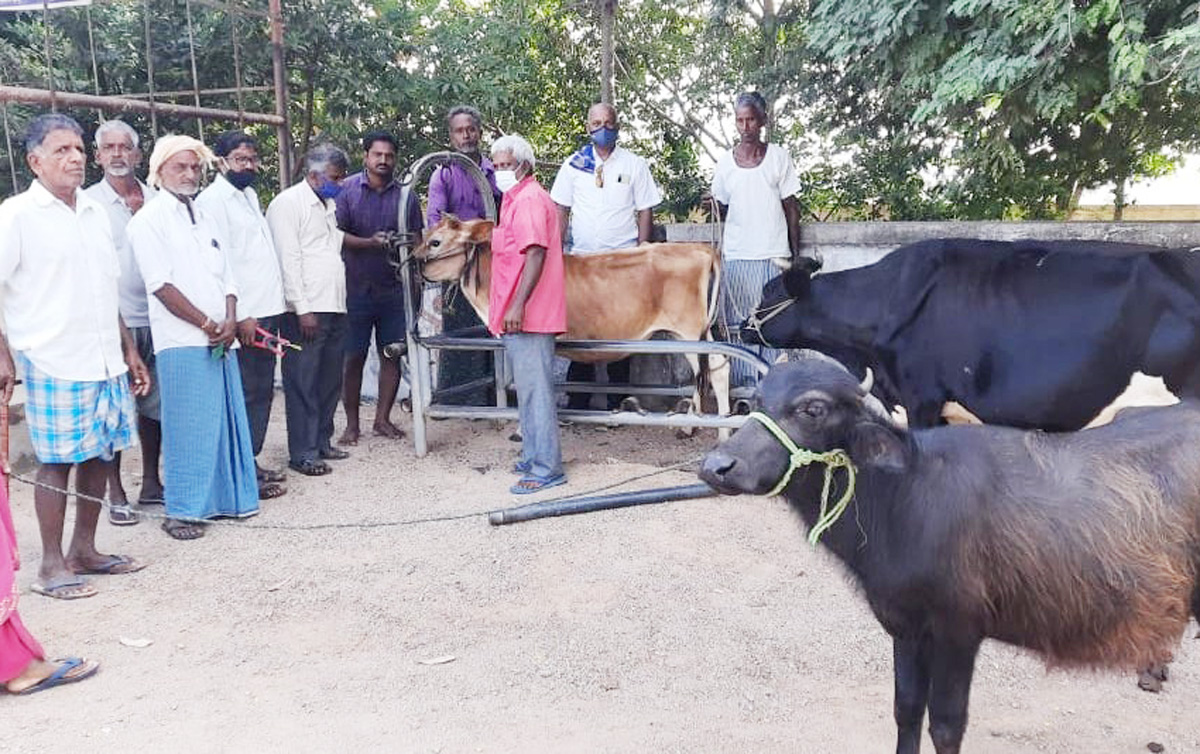 సీజనల్‌ వ్యాధులపై అప్రమత్తంగా ఉండాలి