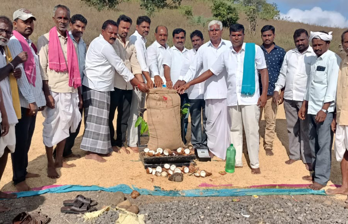 ప్రతి ధాన్యపు గింజనూ కొంటాం